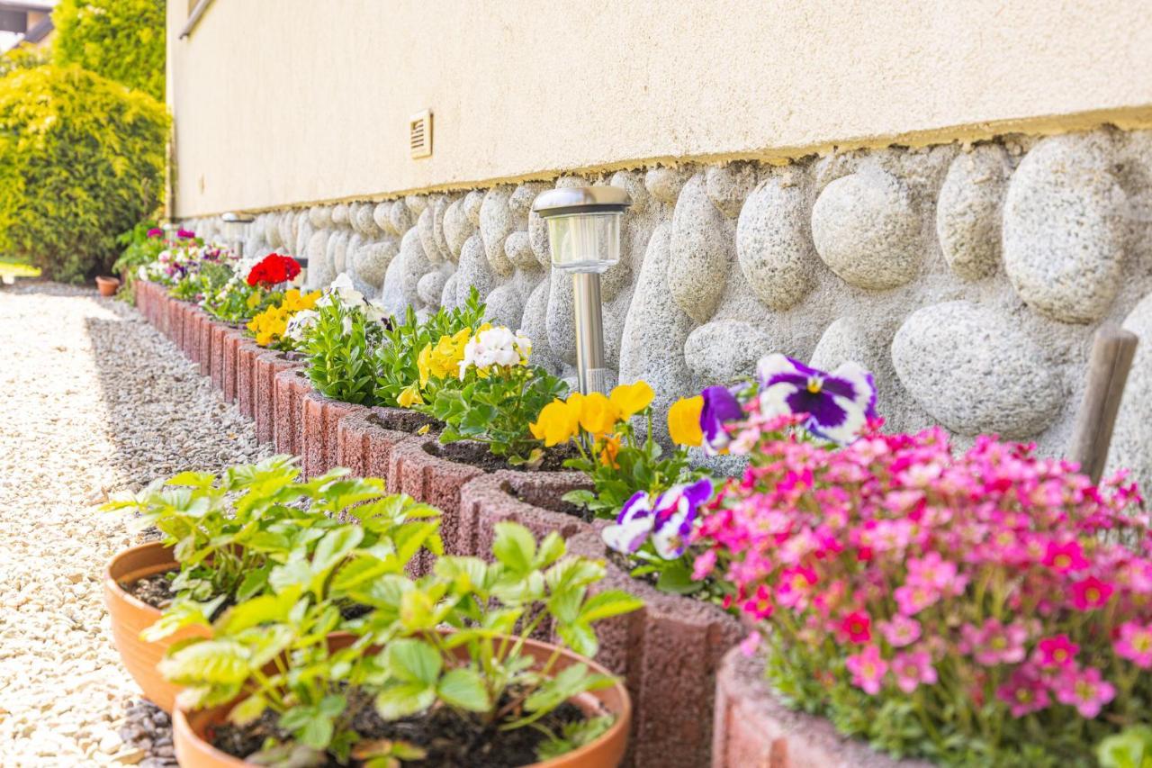 Czarna Gora Apartamenty Tatry Gory Bialka Bukowina Agroturystyka ภายนอก รูปภาพ