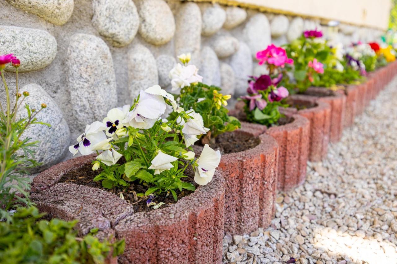 Czarna Gora Apartamenty Tatry Gory Bialka Bukowina Agroturystyka ภายนอก รูปภาพ
